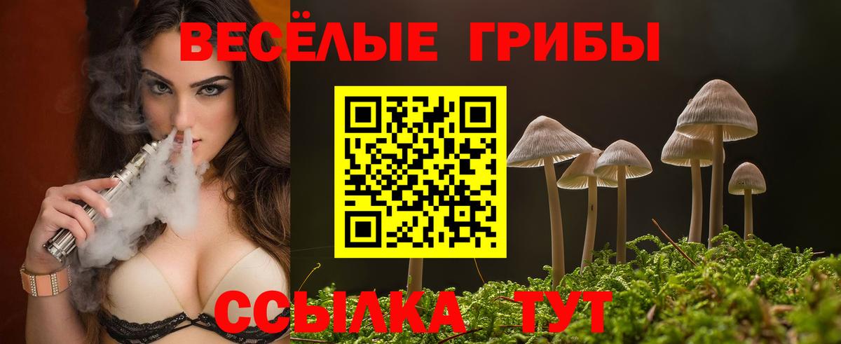 Галлюциногенные грибы GOLDEN TEACHER Хасавюрт